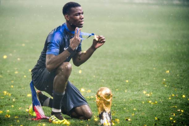 技术兼备的 技术兼备的