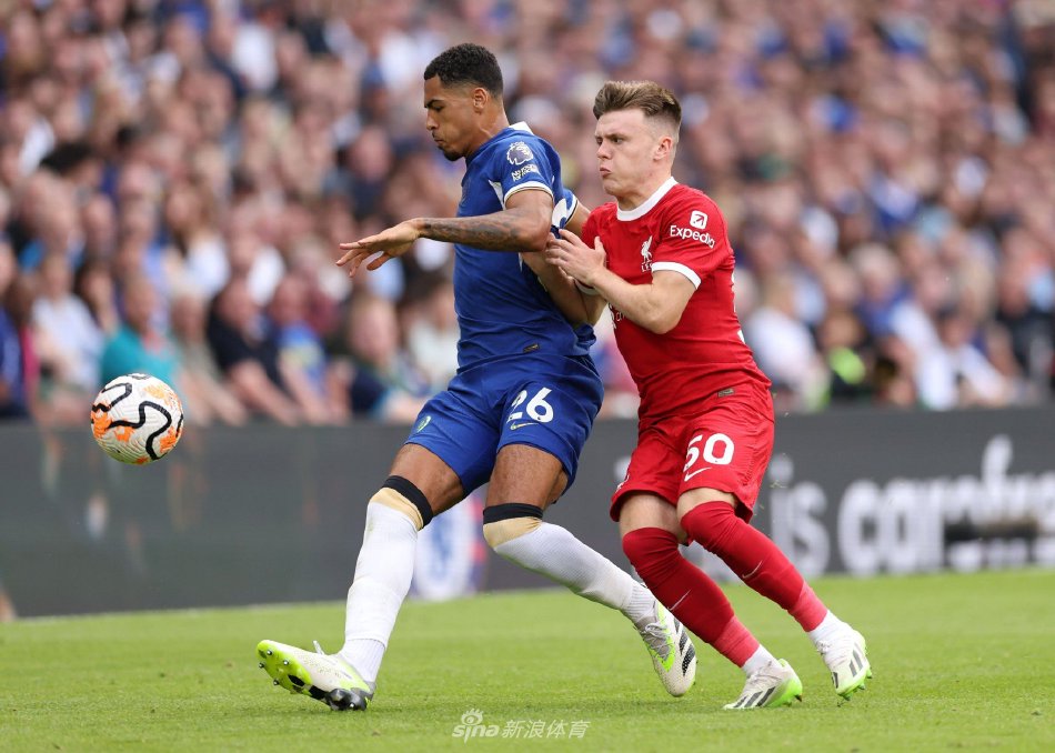 上了新的高 上了新的高